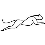 Cheeta Speed Designs