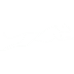 Cheeta Speed Designs