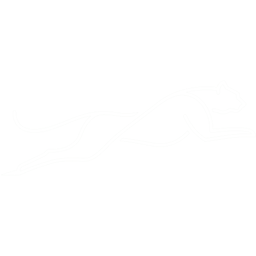 Cheeta Speed Designs